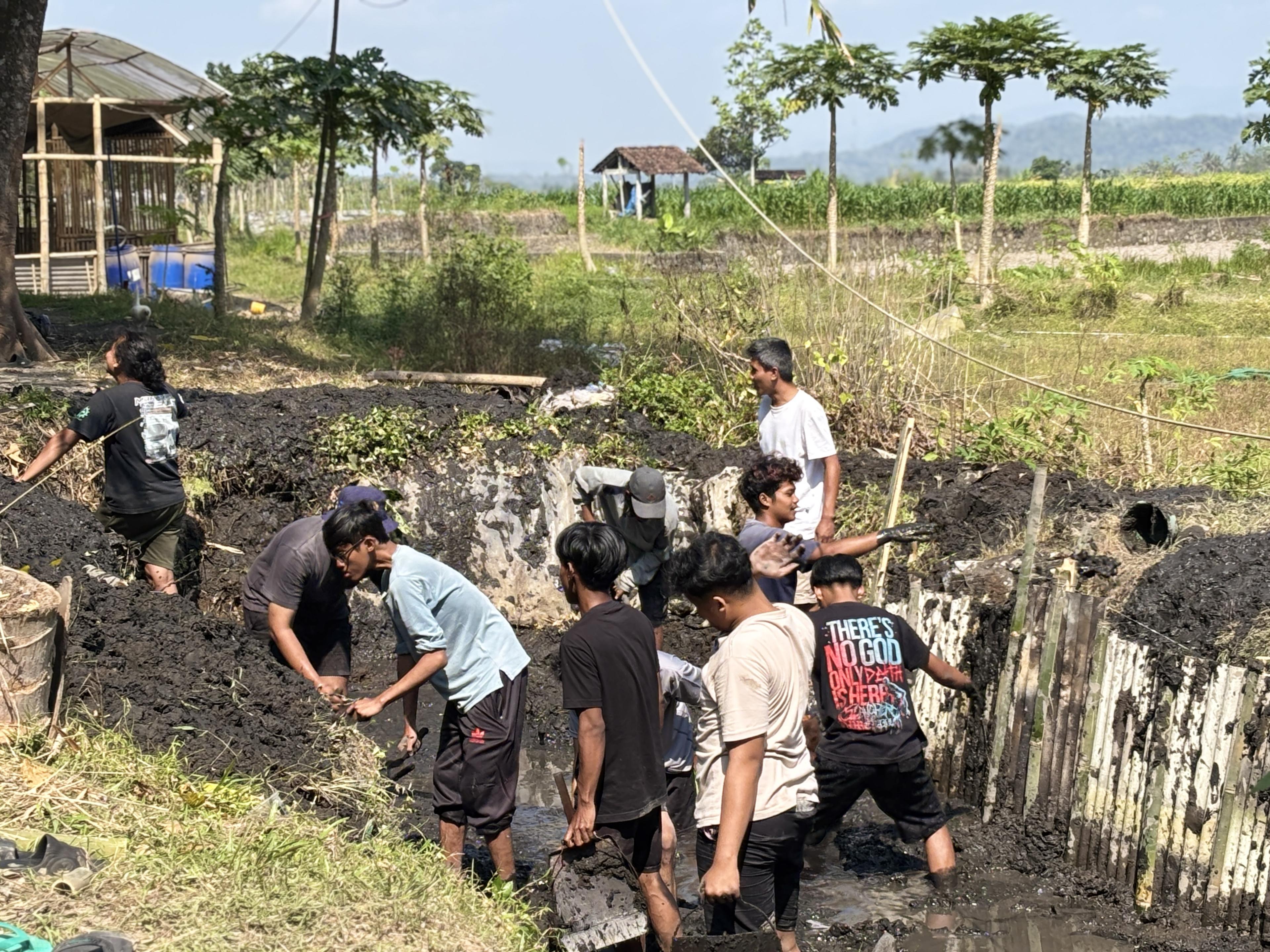 Gotong Royong Bersihkan Kolam Ikan, Warga Madesan Siapkan Tempat Budidaya Bibit Ikan